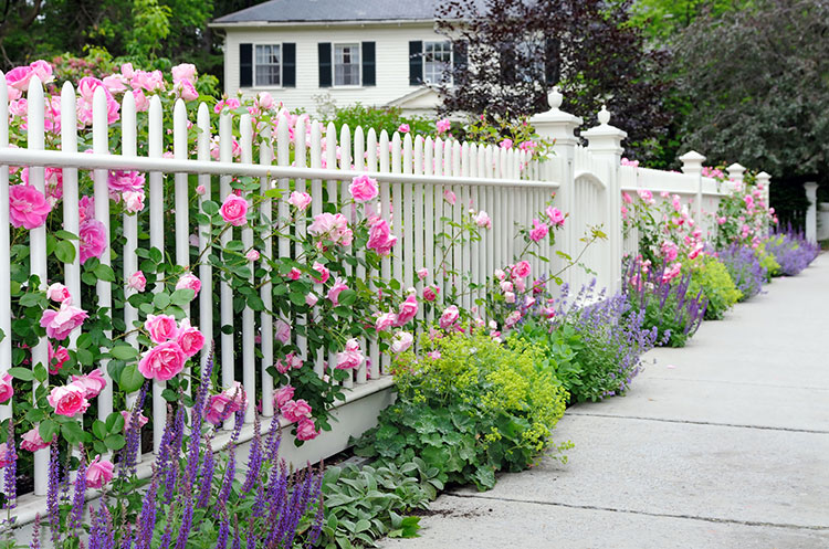 Fence Repair Install