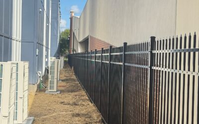 IMG_0639